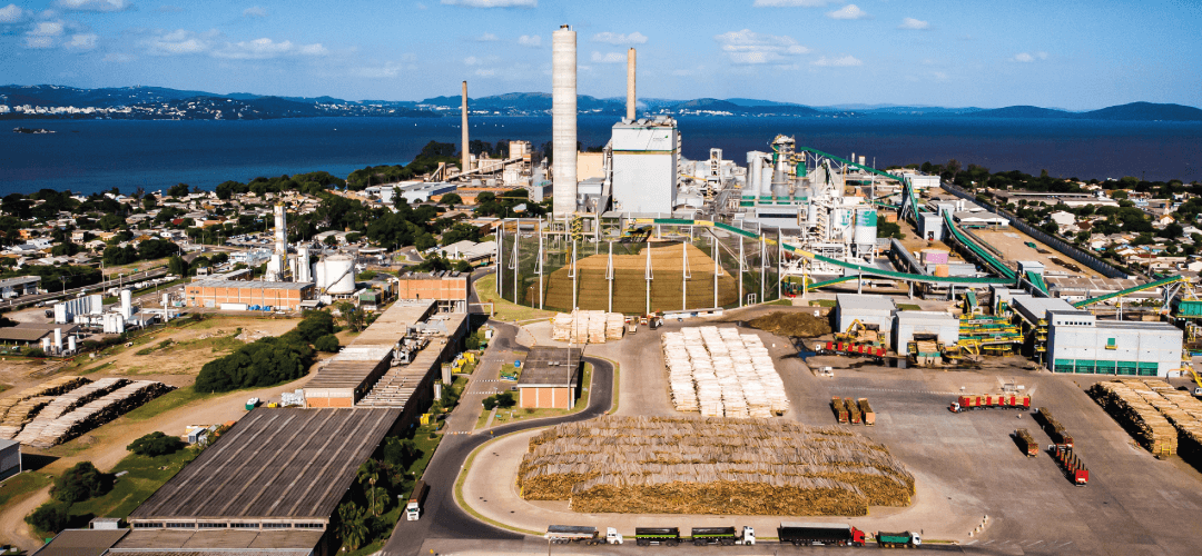 CMPC recebe prêmios por desempenho financeiro, gestão, práticas sustentáveis e combate à COVID-19