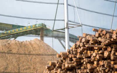 CMPC assume operações da Iguaçu Celulose e Papel S.A.