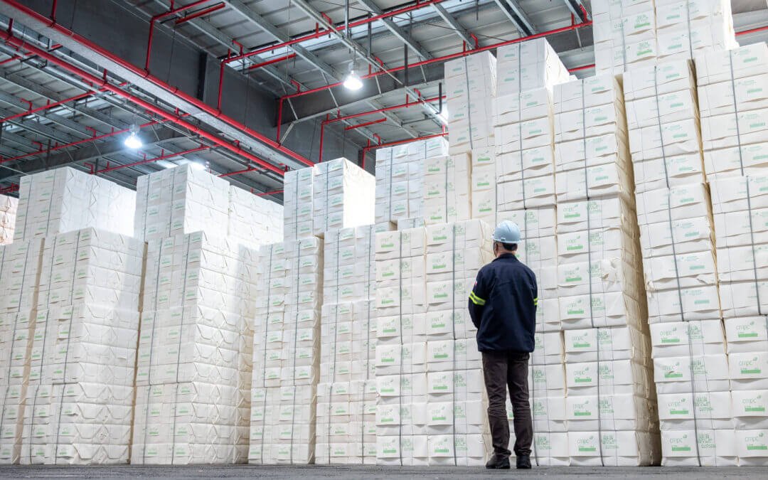 CMPC bate recorde histórico de produção no Brasil pelo terceiro ano consecutivo