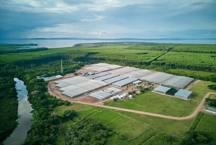 No Mês do Meio Ambiente, CMPC desenvolve projeto de reuso de água no Viveiro