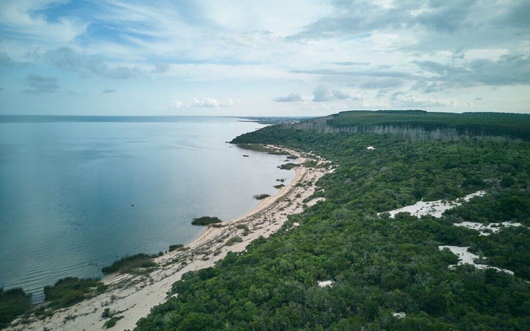 CMPC lidera ranking de sustentabilidade corporativa da S&P Global