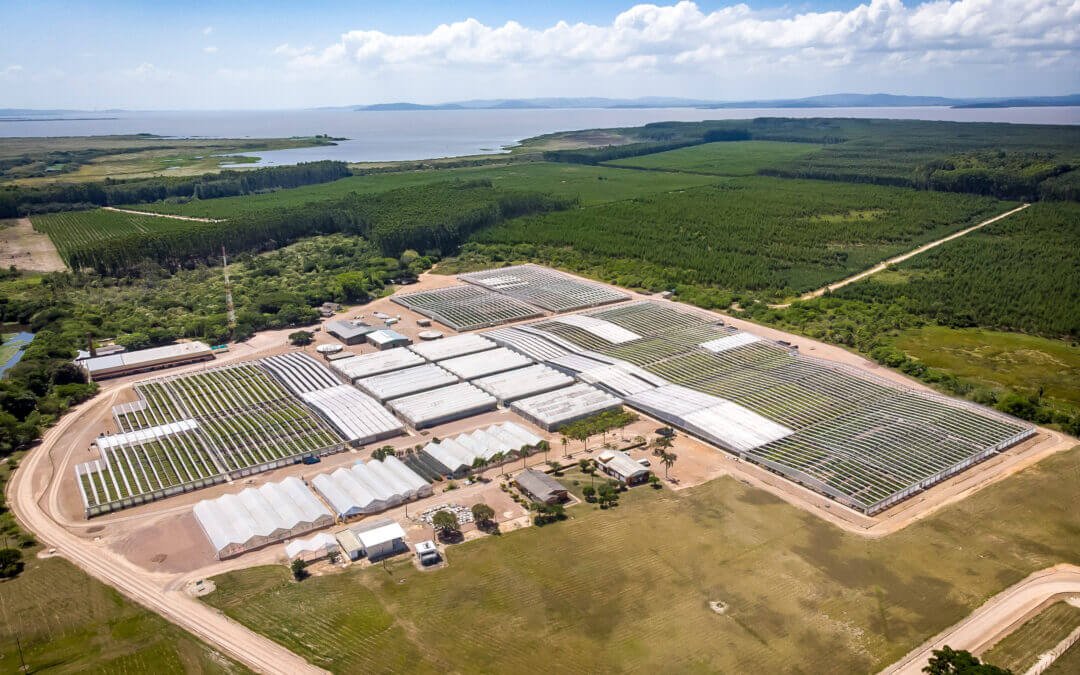 CMPC avança em ações de combate às mudanças climáticas