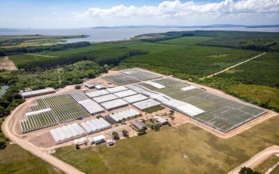CMPC avança em ações de combate às mudanças climáticas